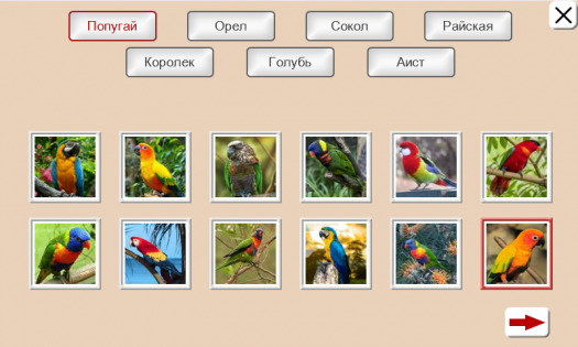 Угадай Птицу. Пазлы 1.1.2. Скриншот 2