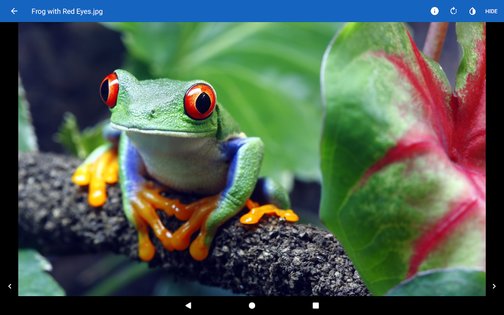 File Viewer for Android 4.5. Скриншот 14