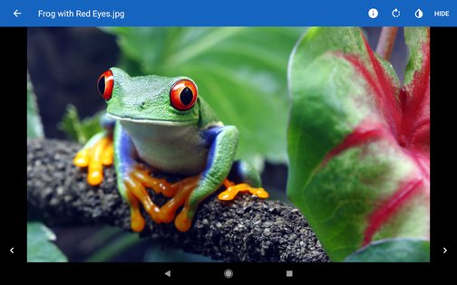 File Viewer for Android 4.5. Скриншот 20