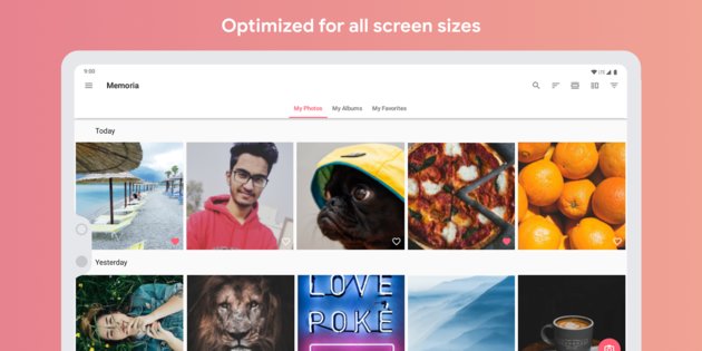 Memoria Photo Gallery 1.0.2.5. Скриншот 9