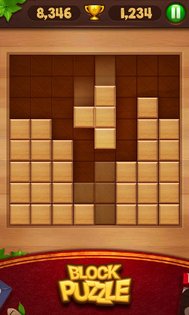 Wood Block Puzzle 79.0. Скриншот 18