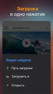 Video Downloader 2.4.0. Скриншот 1