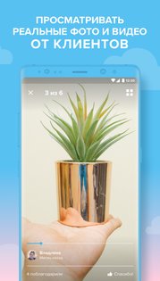 Wish 24.35.21. Скриншот 5