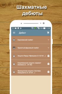Шахматный тренер 3.08. Скриншот 24