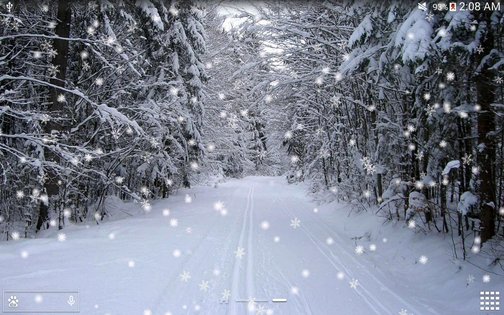 Winter Snow Live Wallpaper 1.3.6. Скриншот 16