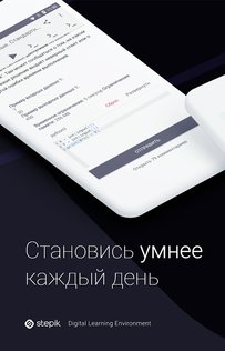 Stepik 1.221.1. Скриншот 1