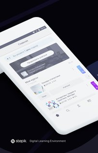 Stepik 1.221.1. Скриншот 2