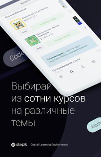 Stepik 1.221.1. Скриншот 4