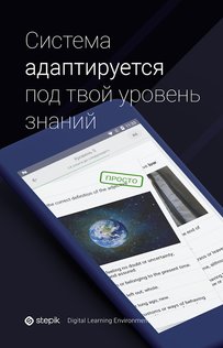 Stepik 1.221.1. Скриншот 5