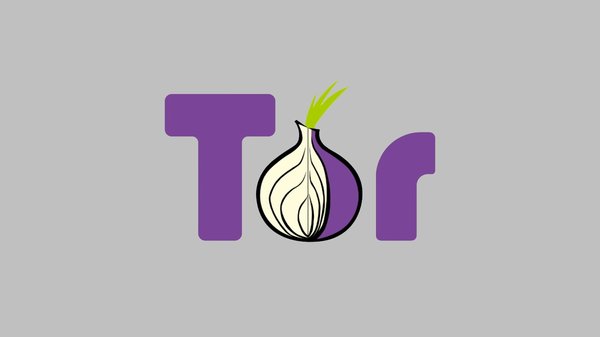 В Google Play вышла первая стабильная версия Tor Browser