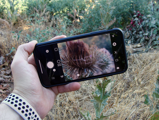 iPhone фотографа: 5 лучших камер с ручными настройками