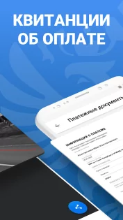 РосШтрафы 3.87. Скриншот 13
