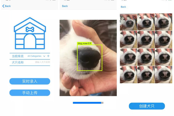 Китайский стартап использует ИИ для поиска собак