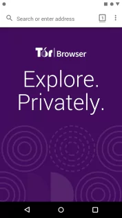 Tor Browser 14.5.2. Скриншот 8