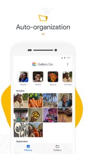 Google Gallery 1.9.2.712403868. Скриншот 1