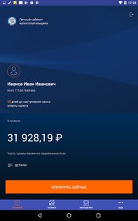 Налоги ФЛ 1.67.0. Скриншот 8