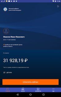 Налоги ФЛ 1.74.1. Скриншот 8