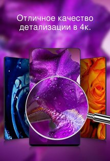 Красивые обои 4K 5.2.1. Скриншот 3