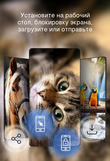 Красивые обои 4K 5.2.1. Скриншот 4