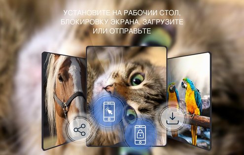 Красивые обои 4K 5.2.1. Скриншот 14