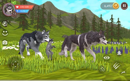 WildCraft 39.0. Скриншот 1