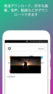 Black Lion Browser 1.0.132. Скриншот 3