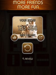 Woody Block Puzzle 3.6.5. Скриншот 3