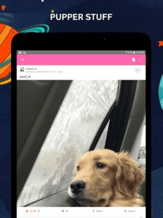 Reddit 2025.19.0. Скриншот 6