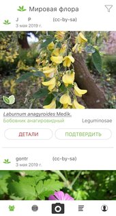 PlantNet 3.20.2. Скриншот 1