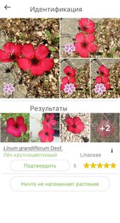 PlantNet 3.20.2. Скриншот 2