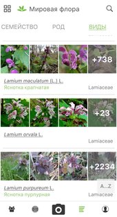 PlantNet 3.20.2. Скриншот 4