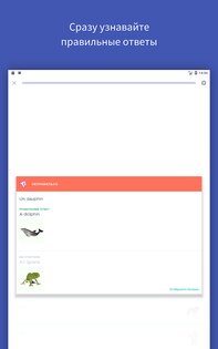 Quizlet 9.37. Скриншот 9