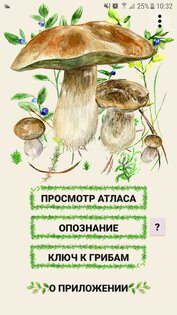 По грибы 137.0. Скриншот 2