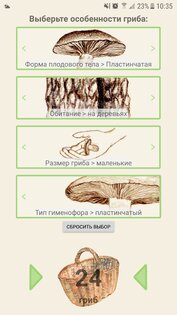 По грибы 119.0. Скриншот 4