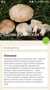 По грибы 137.0. Скриншот 5