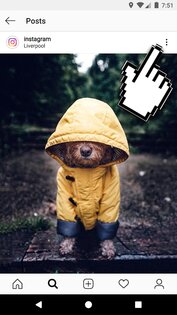 Downloader for instagram. downloader for instagram android 9. Downloader for instagram фото. Downloader for instagram-downloader for instagram android 9. картинка Downloader for instagram. картинка downloader for instagram android 9. Instagram Downloader – расширение для браузера, с помощью которого можно скачивать контент из Instagram: изображения, видео, сторис и ролики IGTV. Скачивать можно даже без авторизации на сервисе. Расширение работает в браузерах Chrome и Mozilla Firefox.