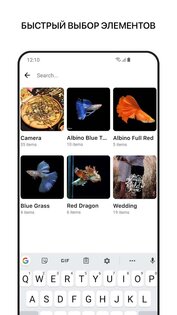 1Gallery 1.1.1-3.240425. Скриншот 5