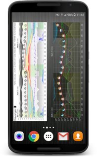 Погодный виджет метеограммы 5.3.19. Скриншот 3