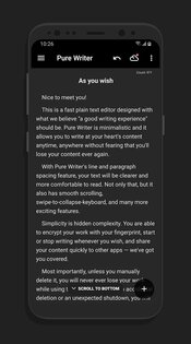 Pure Writer 26.1.8. Скриншот 1