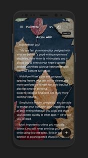Pure Writer 26.1.8. Скриншот 2