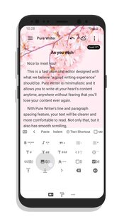 Pure Writer 26.2.0. Скриншот 4