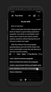 Pure Writer 26.1.8. Скриншот 7