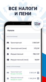 РосНалог 3.86.1. Скриншот 1