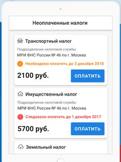 Мои налоги личный кабинет 2.9.1. Скриншот 7