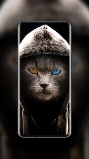 4K Wallpaper Expert 11.0.191. Скриншот 20