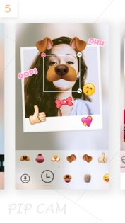 PIP CAM 1.5.0. Скриншот 5