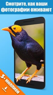 Jellify 1.6.6. Скриншот 2