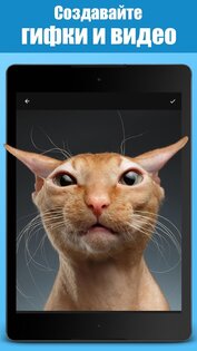 Jellify 1.6.6. Скриншот 9