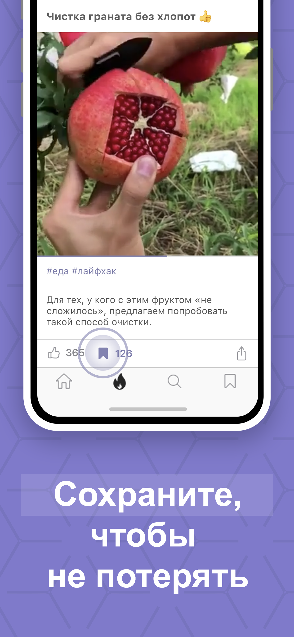 Скачать Всмысле – интересные факты 1.7.2 для iPhone / iPad