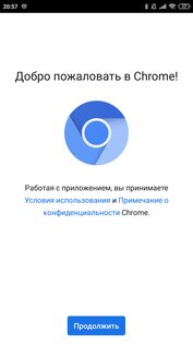 Chromium 128.0.6562.0. Скриншот 1